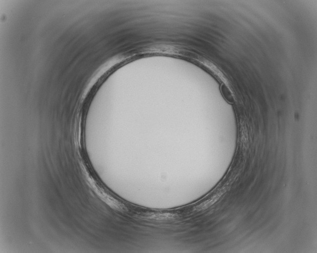 X0000081571131200702051207