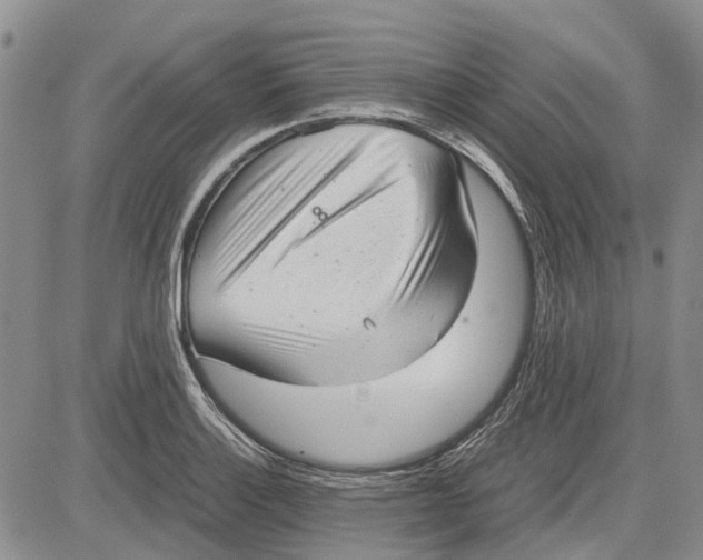 X0000081571132200702051207