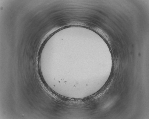 X0000081571133200702051207