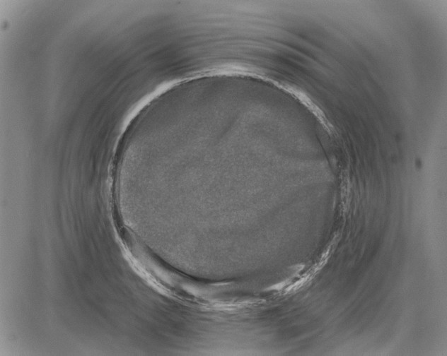 X0000081571134200702051207