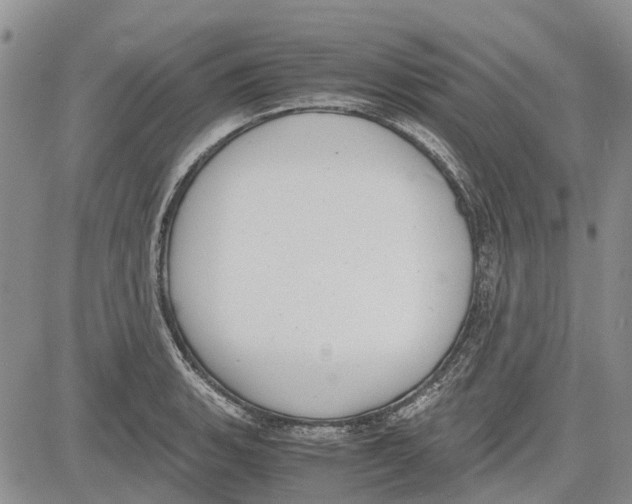 X0000081571135200702051207