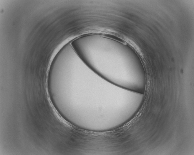 X0000081571136200702051207