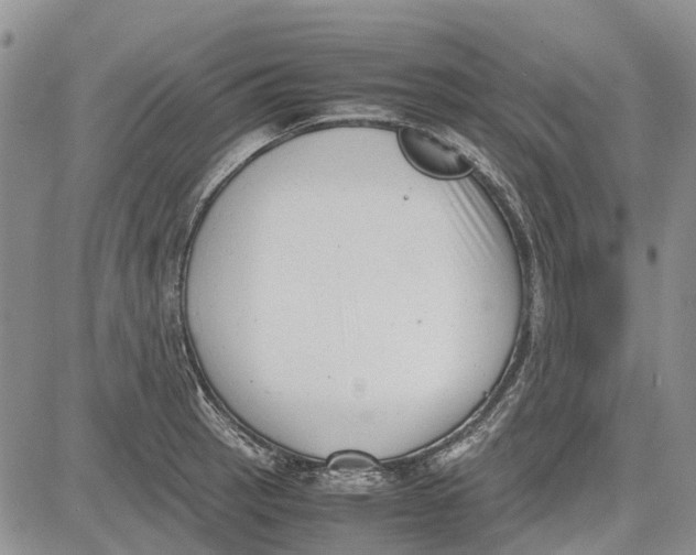 X0000081571137200702051208