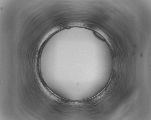 X0000081571139200702051208