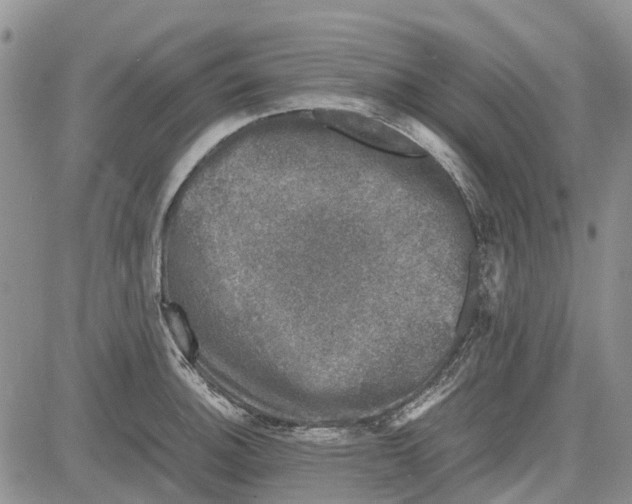 X0000081571140200702051208