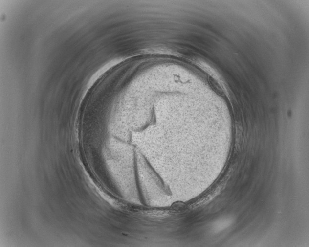 X0000081571141200702051208