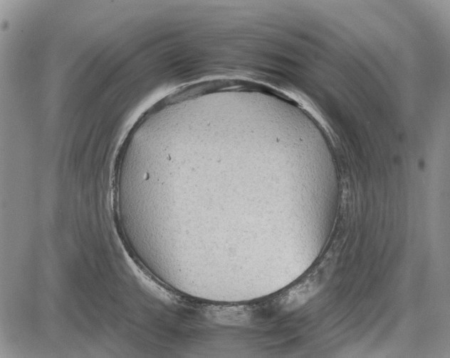 X0000081571143200702051208