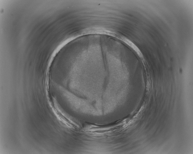 X0000081571144200702051208