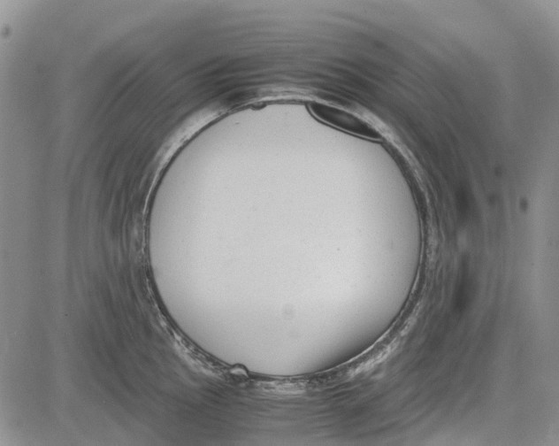 X0000081571145200702051208