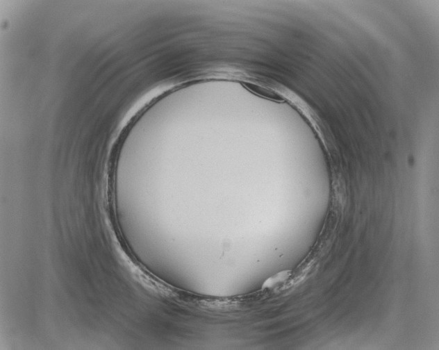 X0000081571147200702051208