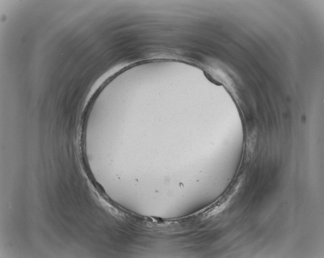 X0000081571149200702051208