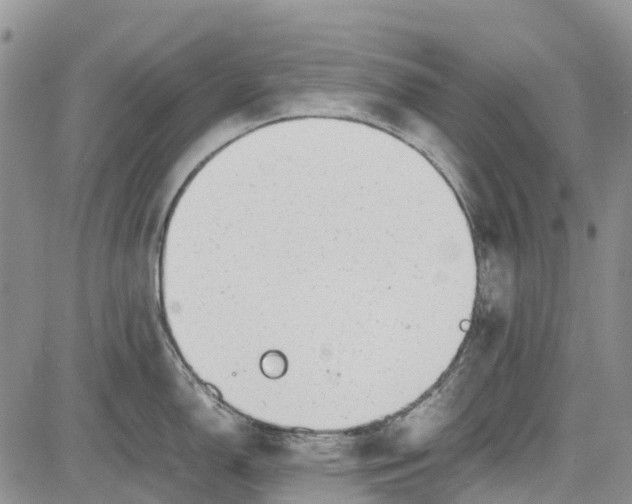 X0000081571150200702051208