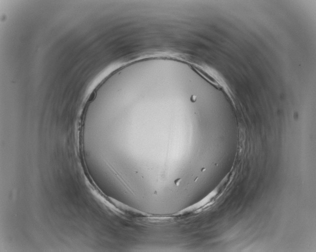 X0000081571151200702051208