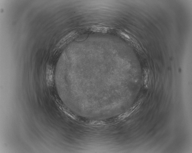 X0000081571154200702051207