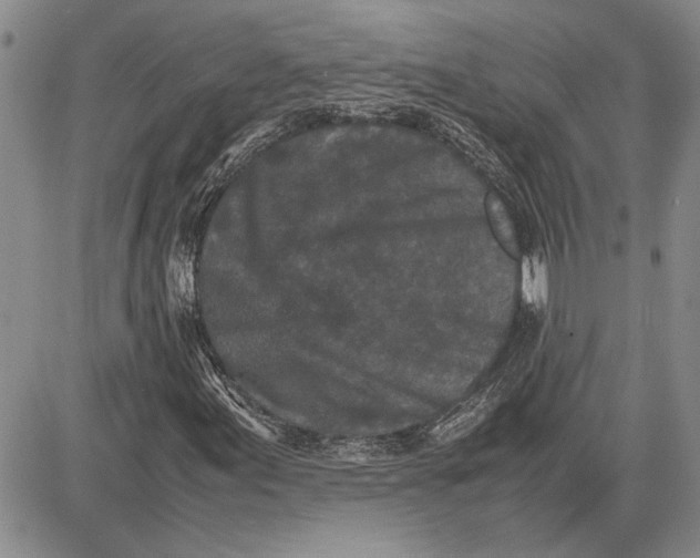 X0000081571155200702051207