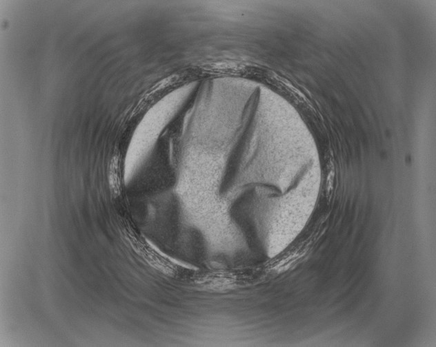 X0000081571156200702051207