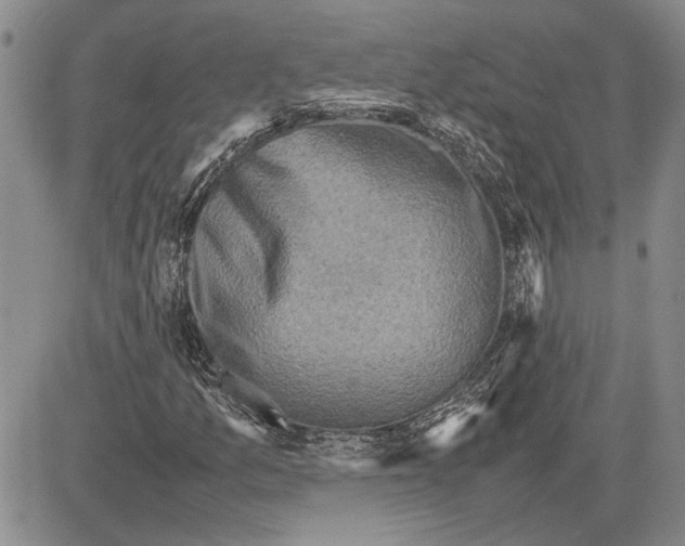 X0000081571157200702051207