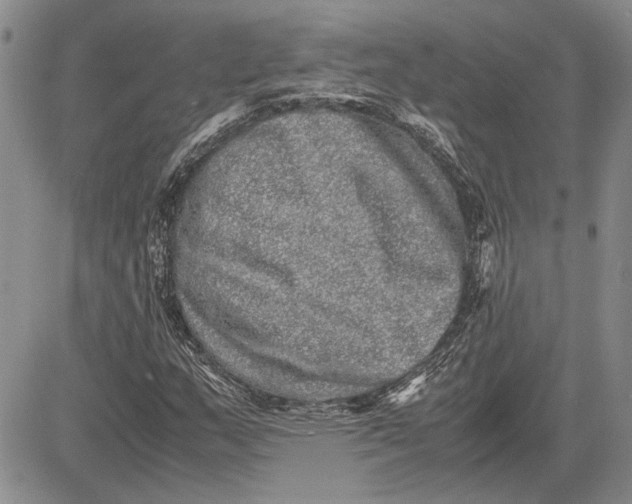 X0000081571159200702051207