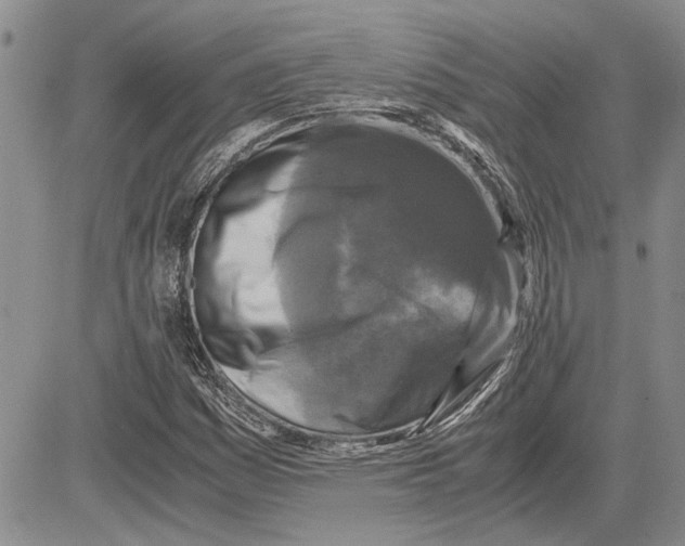 X0000081571161200702051207