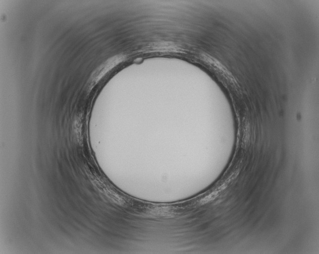 X0000081571162200702051207