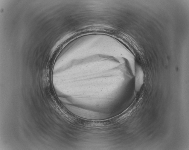 X0000081571164200702051207