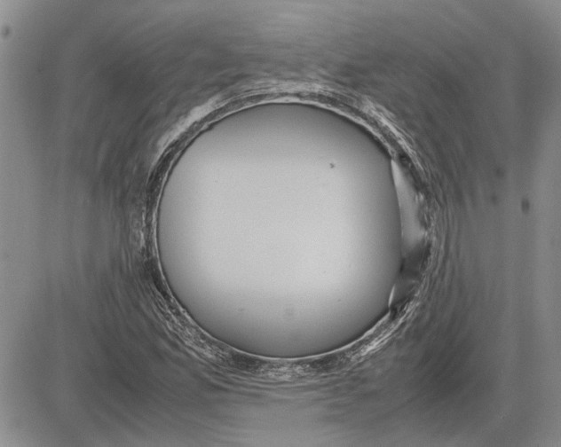 X0000081571165200702051207