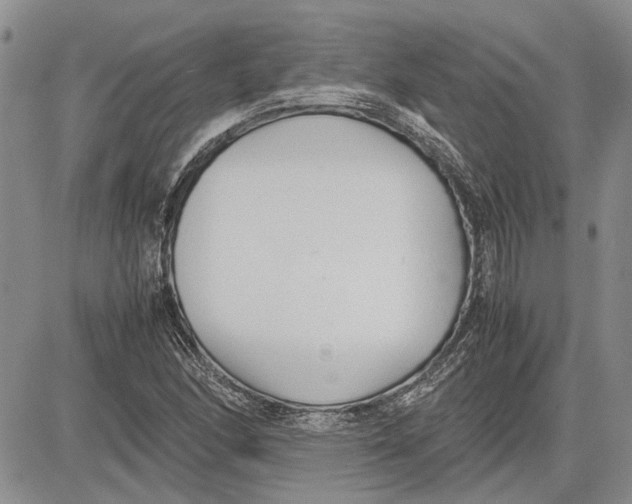 X0000081571166200702051207