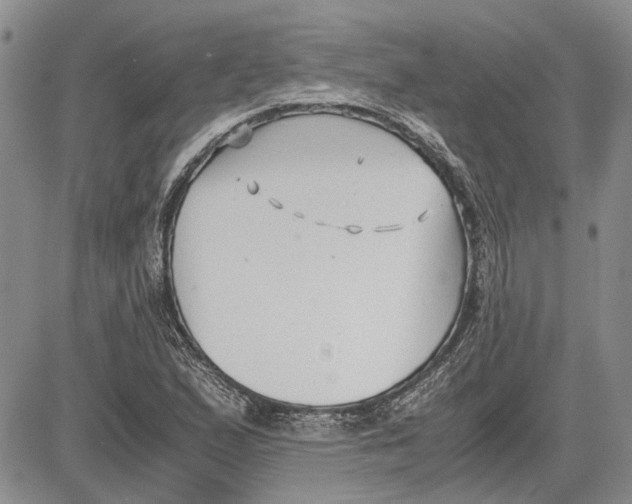 X0000081571167200702051207