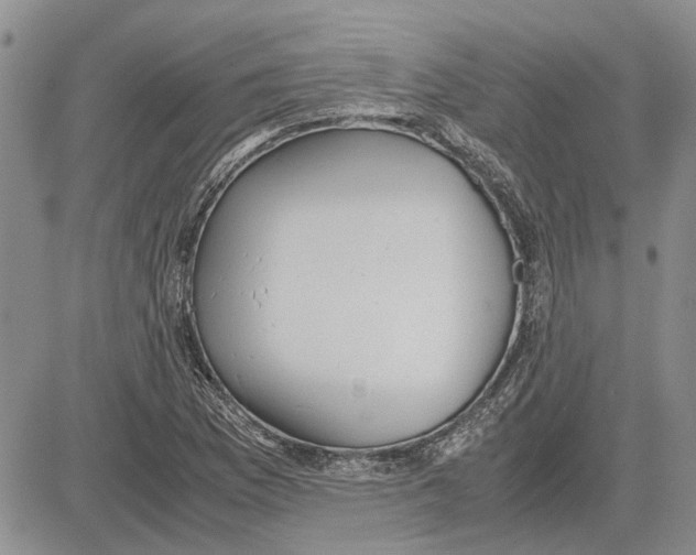 X0000081571169200702051207