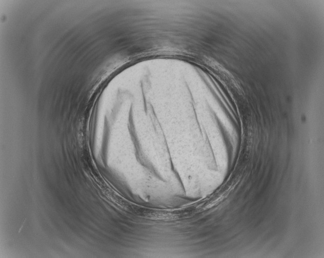 X0000081571170200702051207