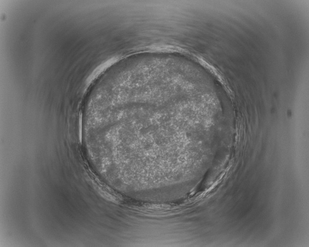 X0000081571171200702051207