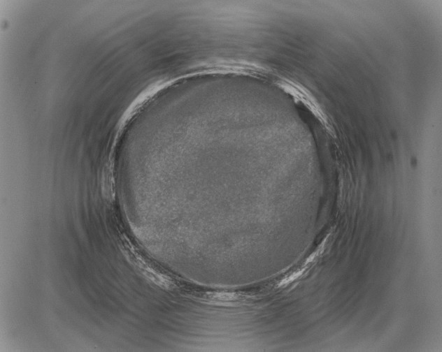 X0000081571172200702051207