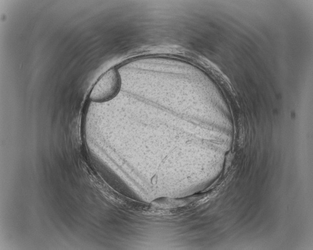 X0000081571174200702051207