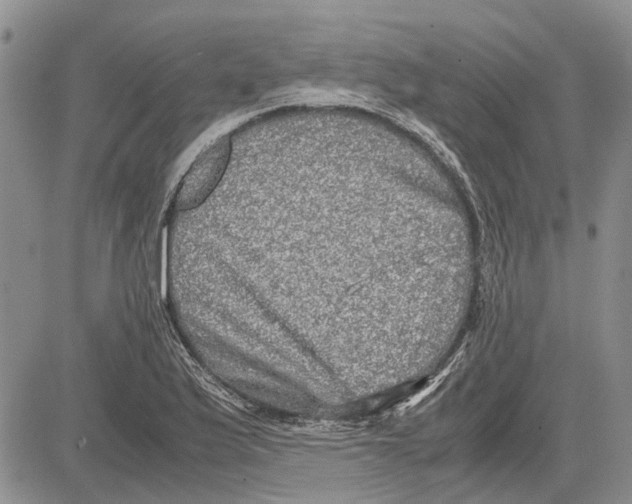 X0000081571175200702051207