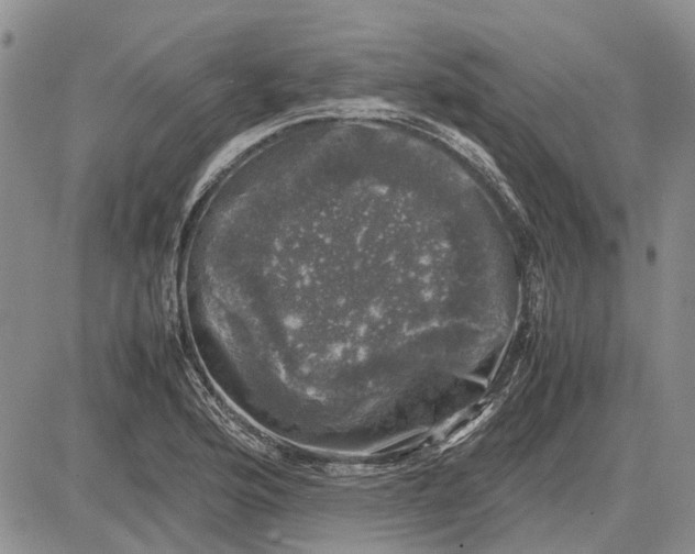 X0000081571176200702051207