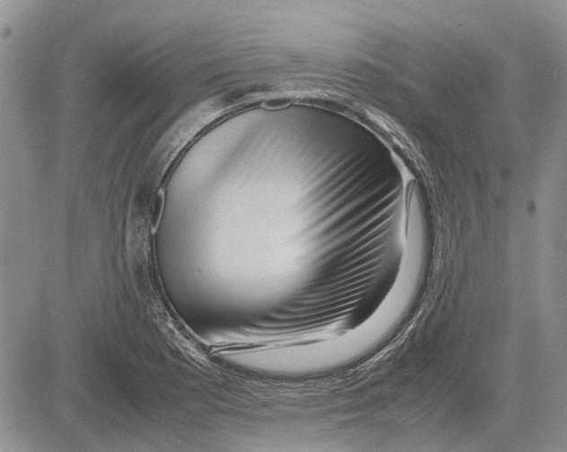 X0000081571177200702051207