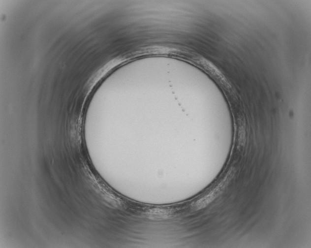 X0000081571178200702051207