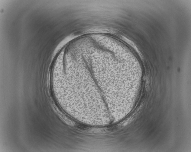 X0000081571179200702051207