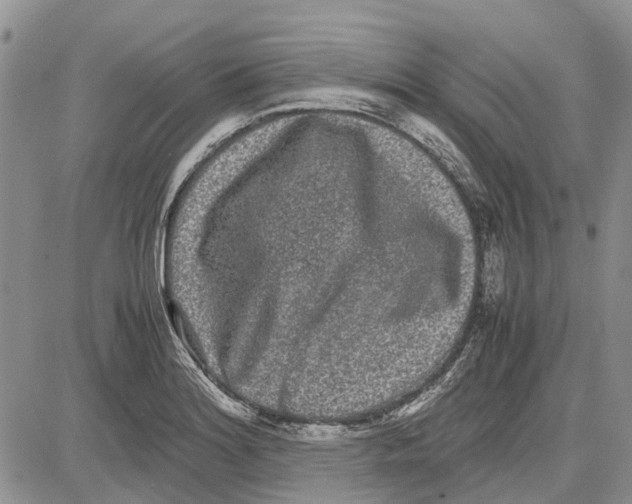 X0000081571180200702051207