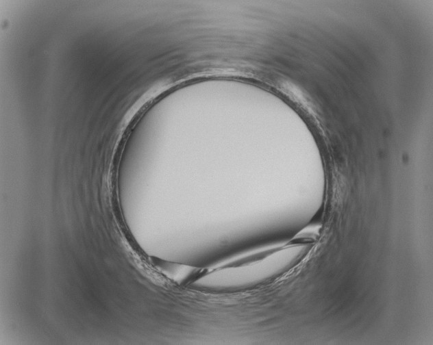 X0000081571181200702051207