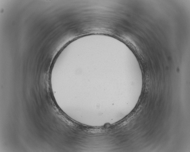 X0000081571182200702051206