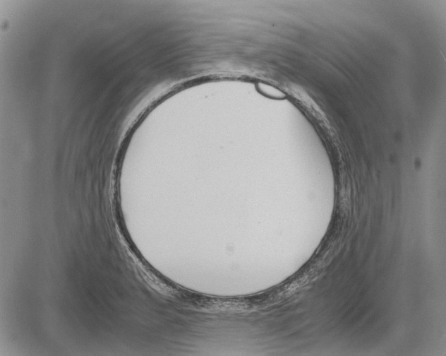 X0000081571183200702051206