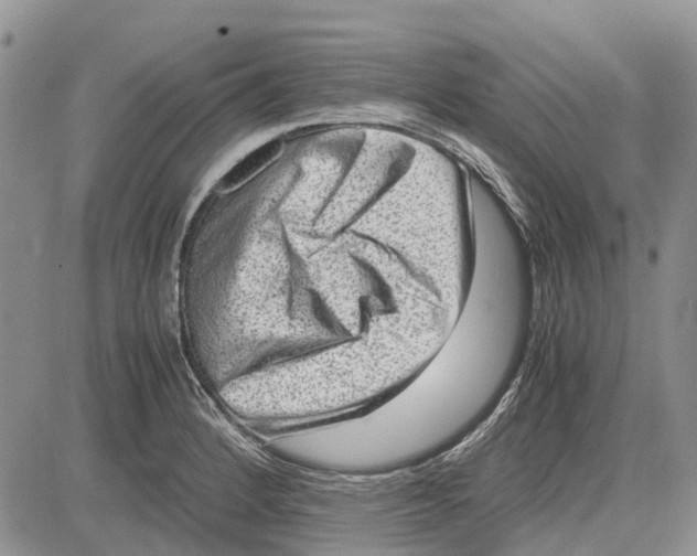 X0000081571184200702051206