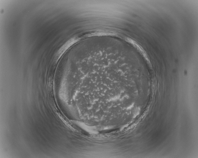 X0000081571185200702051206