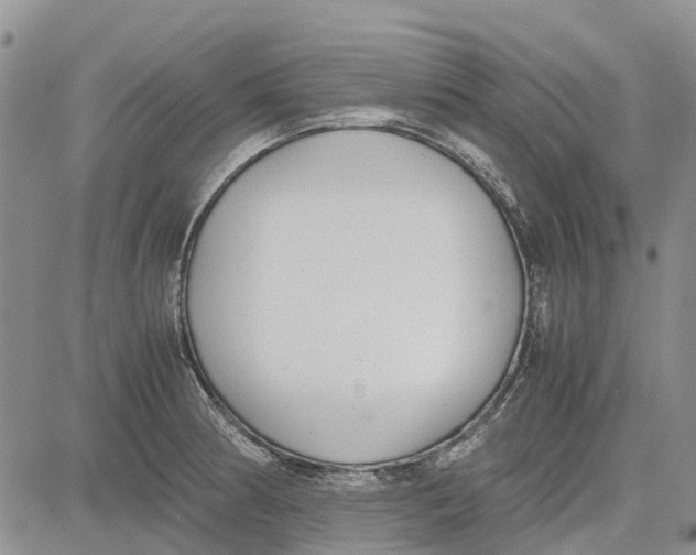 X0000081571186200702051206