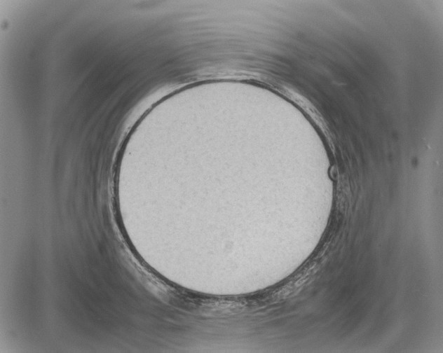 X0000081571187200702051206