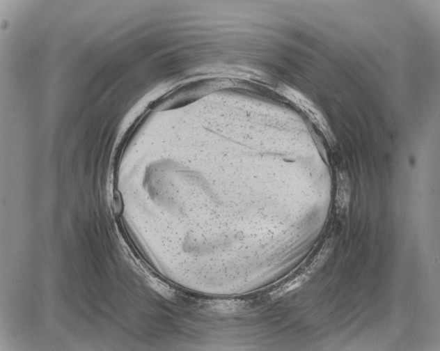 X0000081571188200702051206