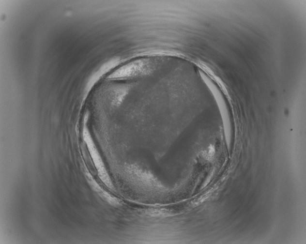 X0000081571189200702051206