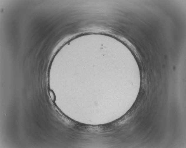 X0000081571191200702051206