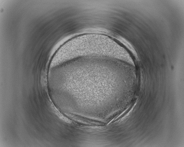 X0000081571192200702051206